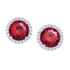 Ruby Earrings-CE3829WRU
