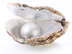 Chatham Cultured Pearls